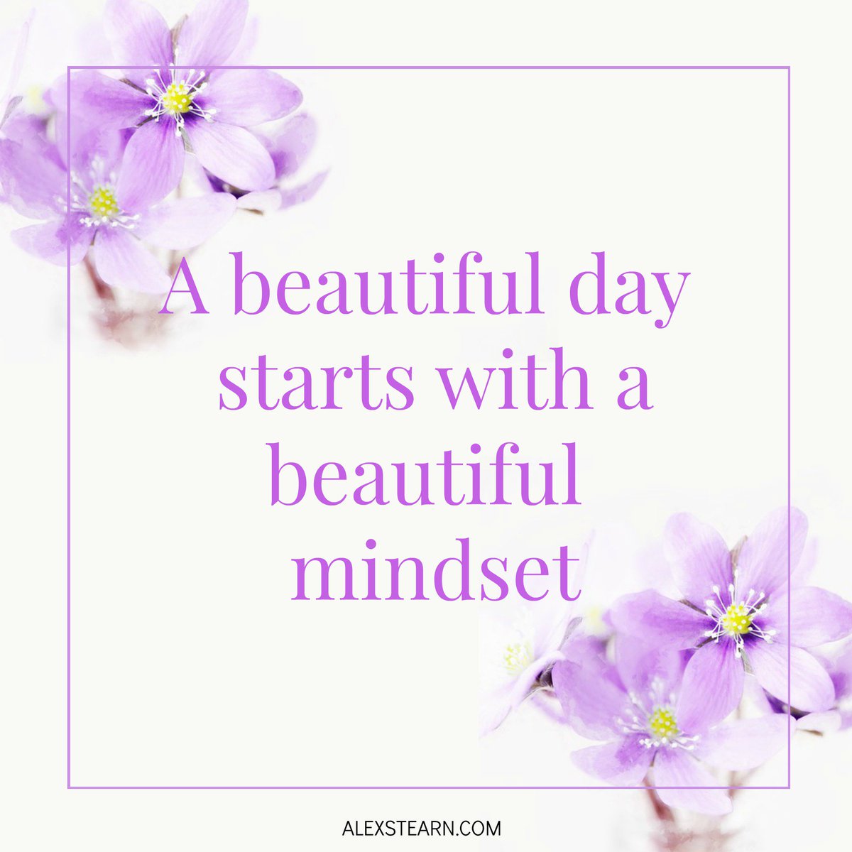 A beautiful day starts with a beautiful mindset. #Inspiration