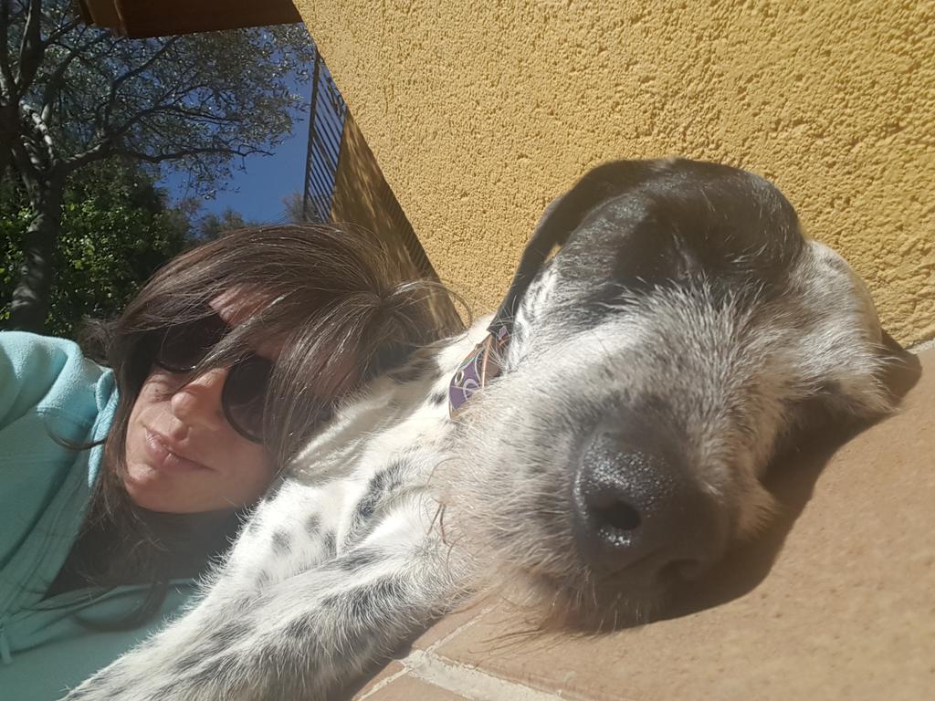 csensats's tweet photo. @soriano_p @jmmorang @DadaCero @zeliarca @Animal_Virals @EnfermerasenRED @PROYECTOHUQUI @anajosebb @anaisnursing @davidarcy Nosotros hemos hecho siesta antes de la hora de comer. Smoothie ha preferido dar 1 paso por adelante e ir directamemte a la comida 😆 #MascotaStyle #settermix #Setters https://t.co/2XkoiwDDnq