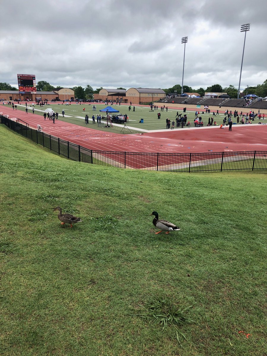 MrsW0830's tweet photo. You know it’s rained a lot when you have ducks on the track 😂 https://t.co/FTpRSfUic8