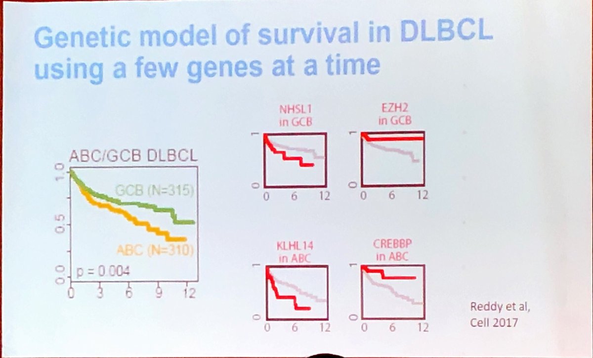 mtmdphd's tweet photo. #AllianceSpring19 #lymsm Sandeep Dave MD, MS discusses DLBCL heterogeneity https://t.co/hEmv06uYVY