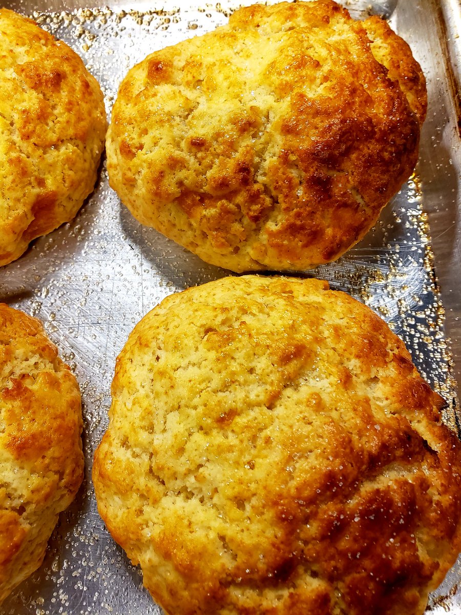 JavaPunkCoffee's tweet photo. Peach scones are ready! #javapunkcoffee #shoplocal #coffee #coffeeislife #community #notjustcoffee #goodfood #makefriends #sconesaturday #scones #theywontlast https://t.co/gJlPEukRmb
