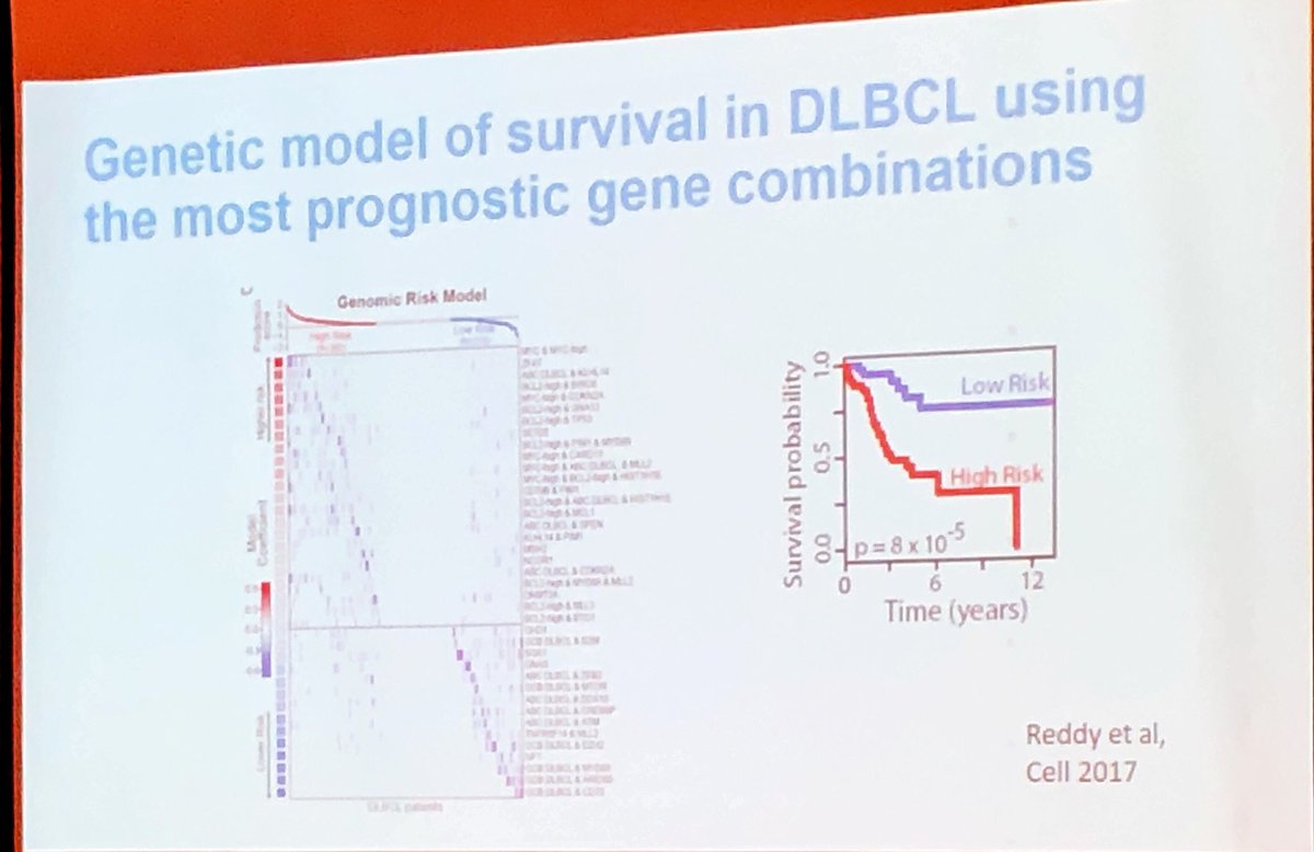 mtmdphd's tweet photo. #AllianceSpring19 #lymsm Sandeep Dave MD, MS discusses DLBCL heterogeneity - approach with humility https://t.co/ASSlGuXYrw