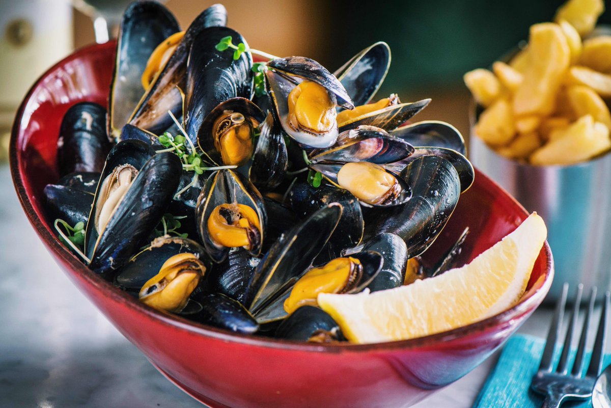 ElectricCork's tweet image. Who else thinks mussels are delicious? Call into the Fish Bar for the best selection of tasty seafood 🐟 Open Tuesday-Saturday, no booking required! 💙 
.
#fishbar #electric #mussels #seafood #cork #electricexperience #delicious #fish