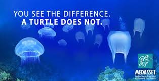 MarlaBeil's tweet photo. Looking forward to today's beach sweep on Plum Island at #SandyHookNP organized by 4th Grade @NutSwampTigers activists. 🌎🌊 🐋#KidsCleanForMarineLife #MakeADifference #SeaTheDifference #MTPSpride #FutureReadyNJ #NutSwampProud #PAWsome https://t.co/o6pUP37T84