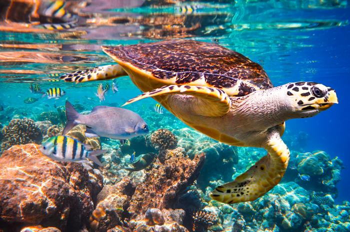 sabadoverde's tweet photo. En comunicación telefónica📞@Anamariamojita Ana María Hernández - Presidenta de la @IPBES sobre Biodiversidad y Servicios de los Ecosistemas.
"La naturaleza está disminuyendo a nivel mundial a tasas sin presedentes en la historia de la humanidad" https://t.co/k1JSOWaW9l