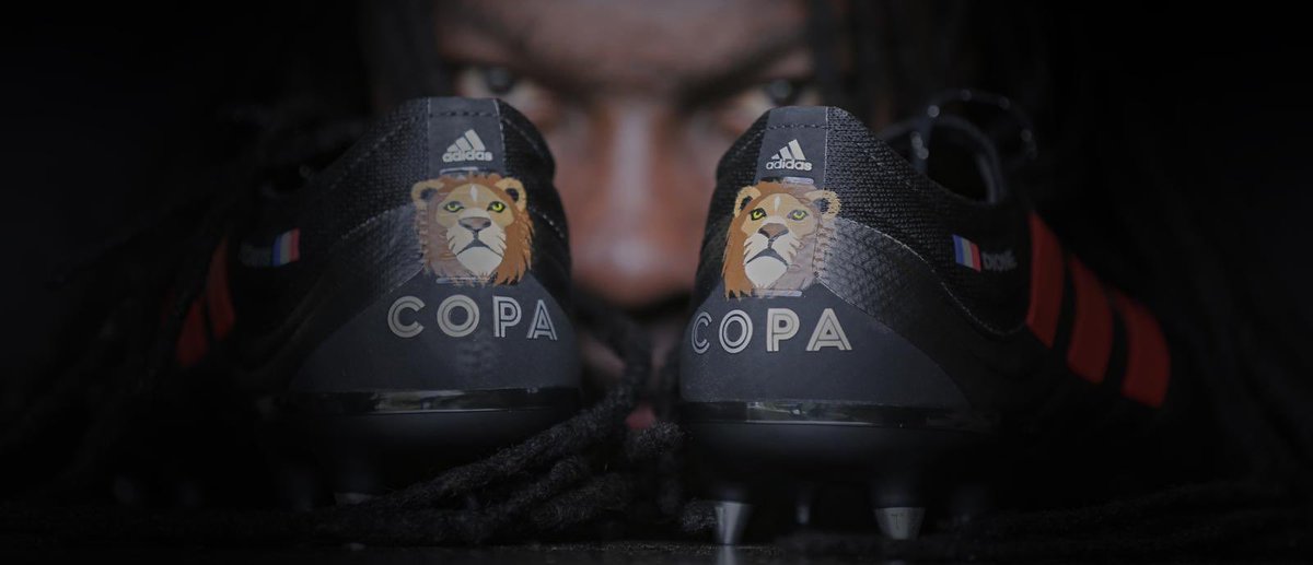 BafGomis's tweet photo. life is a challenge! Live it, feel, love, laugh,cry, play, win, lose, fall... But always get up and move forward 🦁🐾🐾 #copa @adidasfootball #datetocreate https://t.co/z8WUVRalE0