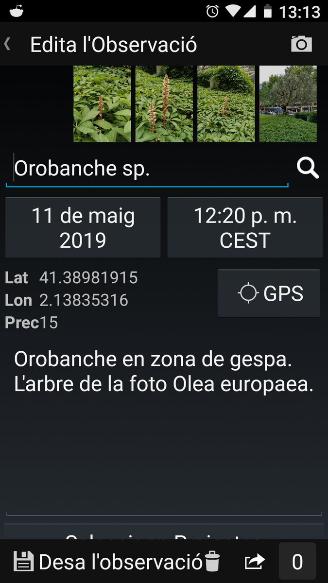 mjchesa's tweet photo. @NatusferaCitSci @IRBioUB @margapares1 @octavibt recuperant bons hàbits, pujant Orobanche al #natusfera . El cap de setmana passat a la #bioblitzbcn s'amagaven i ves per on em surten a Entença-Taquígraf Garriga! Aquests no sé si s'associen a l'olivera o a l'heura. Ho sabeu? https://t.co/lizzFNUBCl