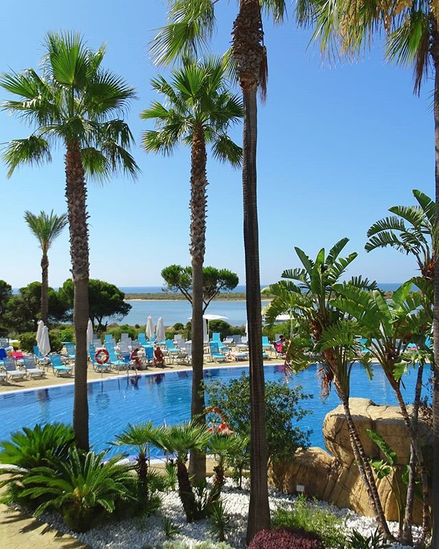 Alexmvall's tweet photo. Un pequeño paraíso....😎☀️
.
.
.
#summerday #explorertocreate #relax #summervibes #bevisuallyinspired #andalucía #dametraveler #travelgram #palmtree #best_skyshots #spain🇪🇸 #travelholic #awesome_naturepix #living_destinations #summertime #andalucia #i… https://t.co/EcYVgvJvcm https://t.co/0cIWe3TP2r