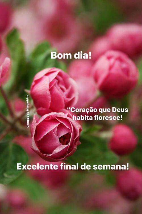 Minha cara!!!
Amei...