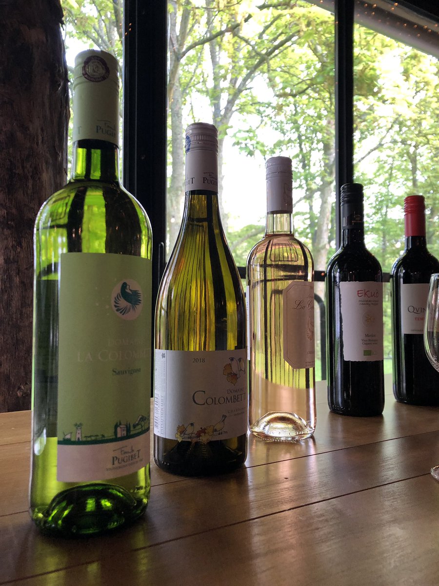 NothingButGrape's tweet image. Thank you @dewsall.court for a lovely open day. #NothingButTheGrape #OrganicWine #WeddingEvent #WeddingWine #WeddingVenue #HappyDays