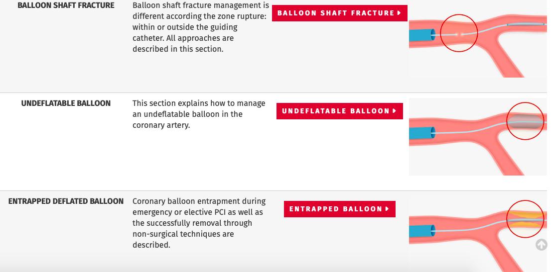 Davide Capodanno on Twitter: