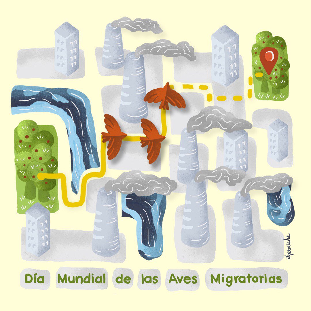periodibarrio's tweet photo. #IlustracionesPB El deterioro de los hábitats, el cambio climático, la captura ilegal y la creciente ingestión de plásticos, amenazan la supervivencia de las aves migratorias (Ilustración: Irma B. Peniche).
#DíaMundialDeLasAvesMigratorias
#WorldMigratoryBirdDay
#WMBD2019 https://t.co/GsrWTZUJLd