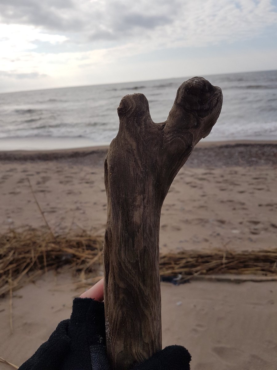 martynasra's tweet photo. Found it on a Baltic sea coast. 
#femur #wood #coxarthrosis #coxavalga #balticsea #orthopedicsurgery #hip https://t.co/Jb1n2w1Qqi