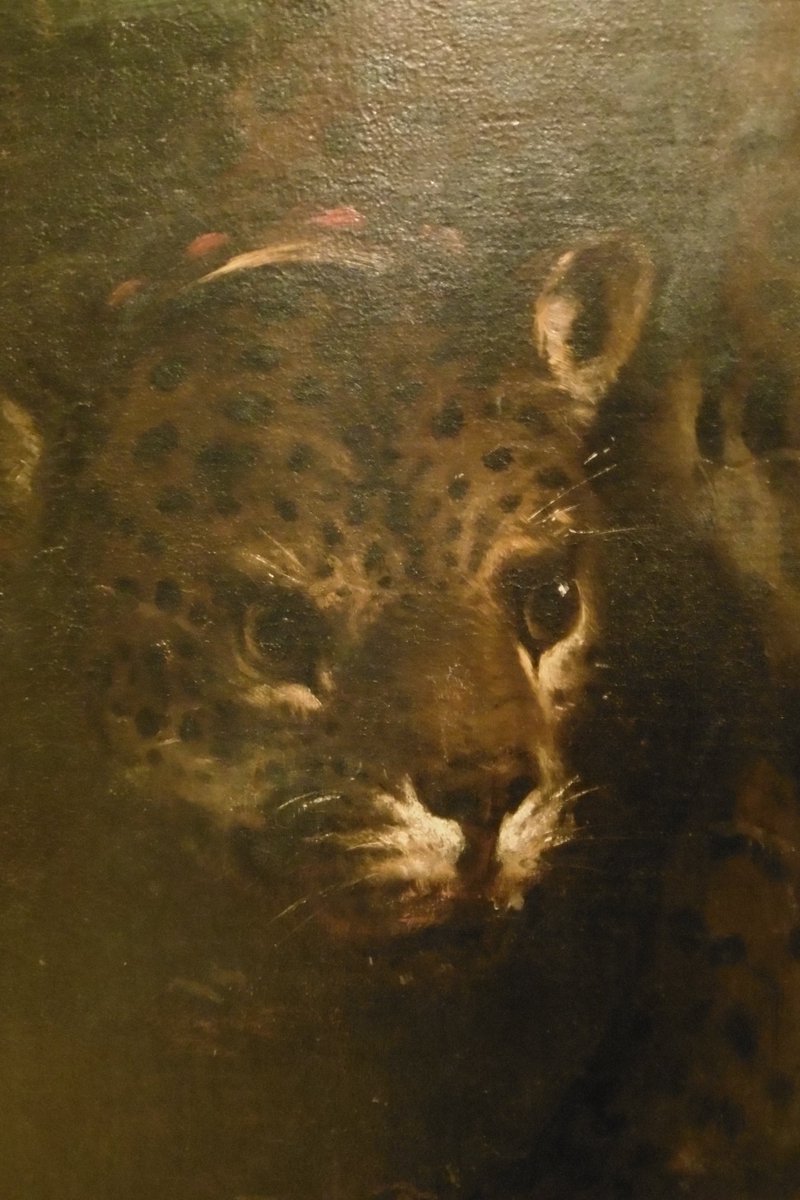 5thLackey's tweet photo. #Caturday detail of #BacchusAndAriadne by #LucaGiordano in #TheHerbert #Coventry. 'Charioted by Bacchus and his pards' https://t.co/X8B9CCEAen