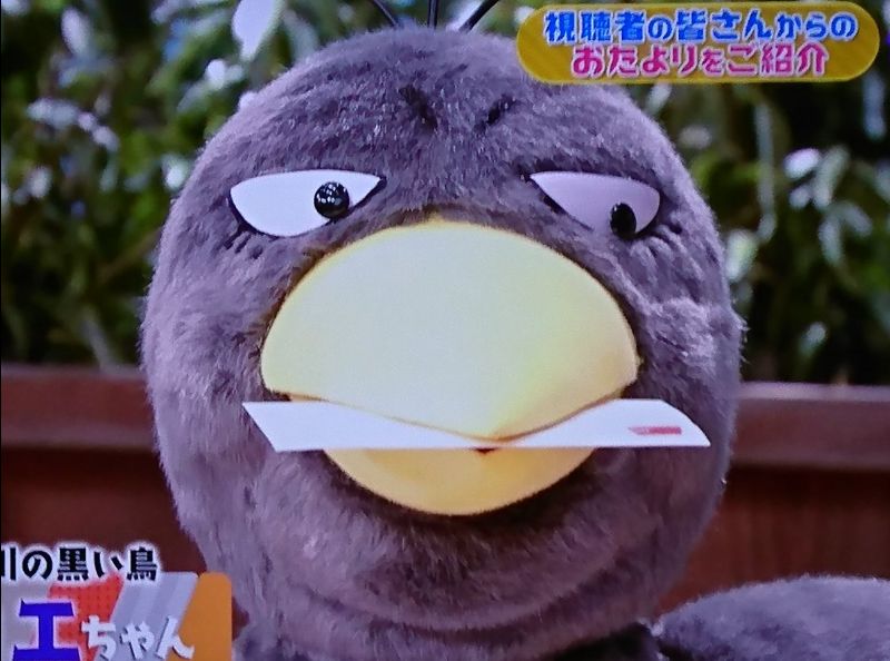 19年5月10日 チコちゃんに叱られるで キョエ が話題に トレンドアットtv