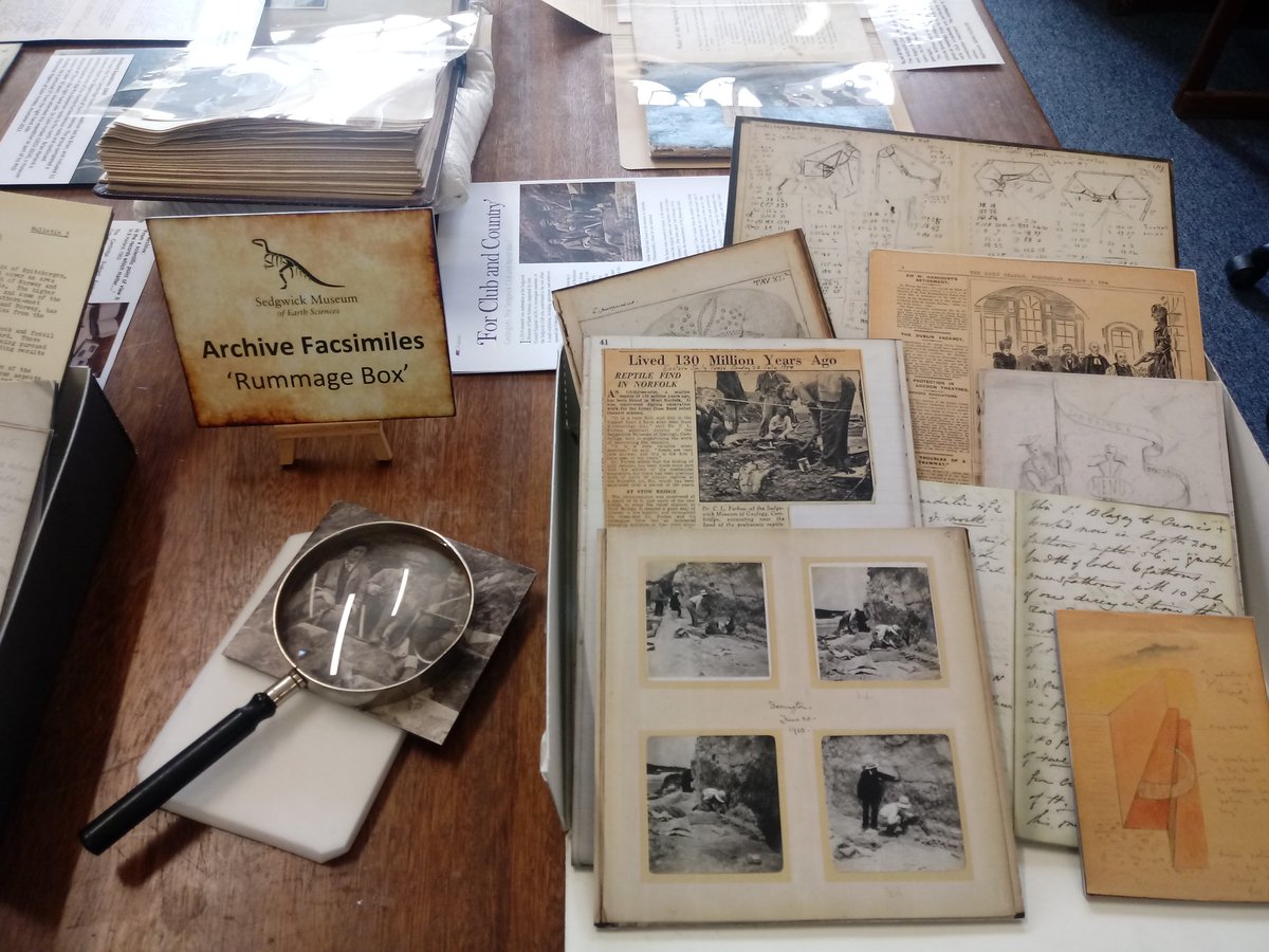 SedgArchivist's tweet photo. All set up for @EarthSciCam alumni day 2019!! πππ #ExploreYourArchive #explorearchives #archivearchie https://t.co/3UbQwlYgYz