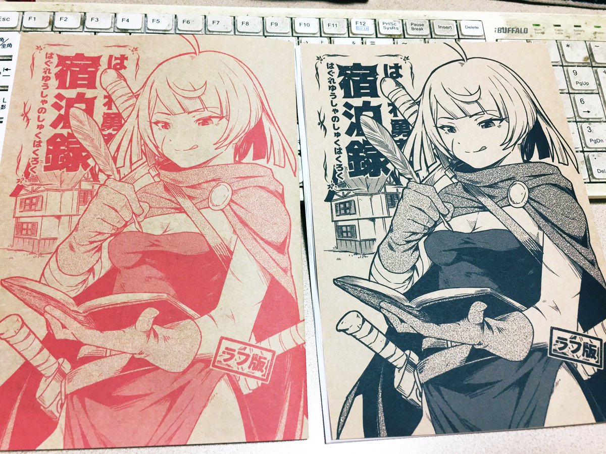 プリンタちゃんが謀反を起こしたので表紙は黒と赤の2種類が存在することになりました
ルージュノワールと言っておけば聞こえは良い(中身は同じです)