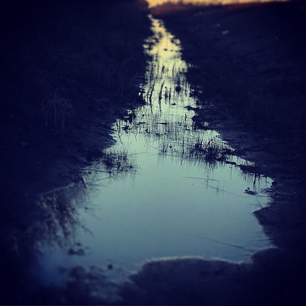 DitchPeople's tweet photo. When the water runs high and the sun sets, they come in force, relentless and unstoppable. If in their path you’ll become one, forever counting in their numbers, forever cursed to emerge and recede, forever DitchPeople...
#horror #prairiehorror #nobloodmoremud  #therewillbemud https://t.co/xCcaEMH9Bz