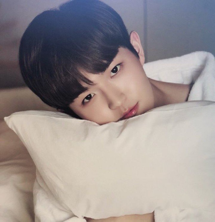 PiepieDoozy's tweet photo. " Fuck with me free Wi-Fi "

NAME: PIE

SERVICE: Talk &amp; skinship

TIME: 21:00-23:00

FOR: SEME

DM: @SSEM_UNIVERSITY

#ยืมเมจforsex #ยืมเมจforhost #โฮสต์img #ยืมเมจfortalk https://t.co/hciLq7vPtD