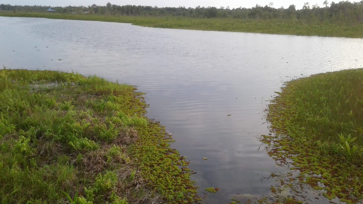 karya_teti's tweet photo. Rencana Pengembangan   Wisata Desa Sanggu yang akan di laksanakan Ta 2019 dengan Dana Desa Tahap II #ManfaatDanaDesa @EkoSandjojo @anwsanusi @taufikmadjid71 @fachrilabalado @P3MDKalteng @P3MDBarsel https://t.co/vnapYGYD5Q