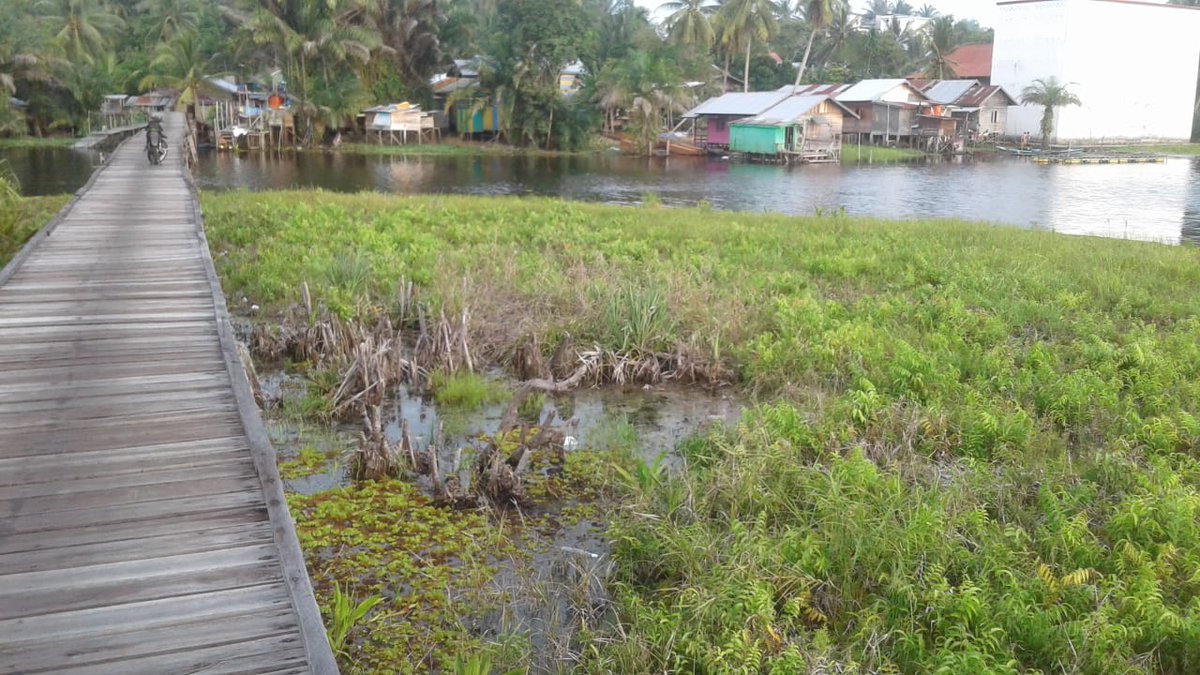 karya_teti's tweet photo. Rencana Pengembangan   Wisata Desa Sanggu yang akan di laksanakan Ta 2019 dengan Dana Desa Tahap II #ManfaatDanaDesa @EkoSandjojo @anwsanusi @taufikmadjid71 @fachrilabalado @P3MDKalteng @P3MDBarsel https://t.co/vnapYGYD5Q
