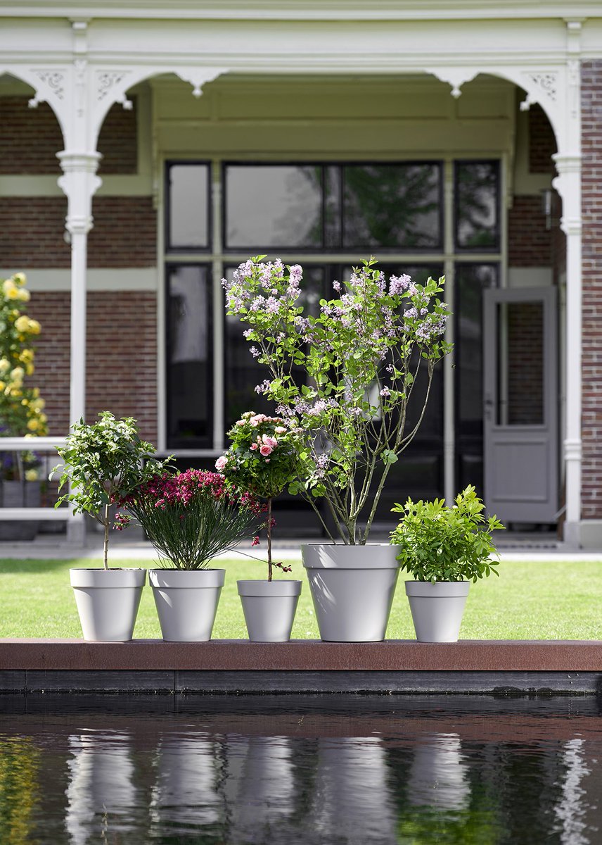 Envie de plantes de jardin faciles d'entretien et qui se plaisent aussi bien en pleine terre qu'en pot ? Découvrez les beautés parfumées..  😍🌿
ow.ly/H7Yu50rQcdX