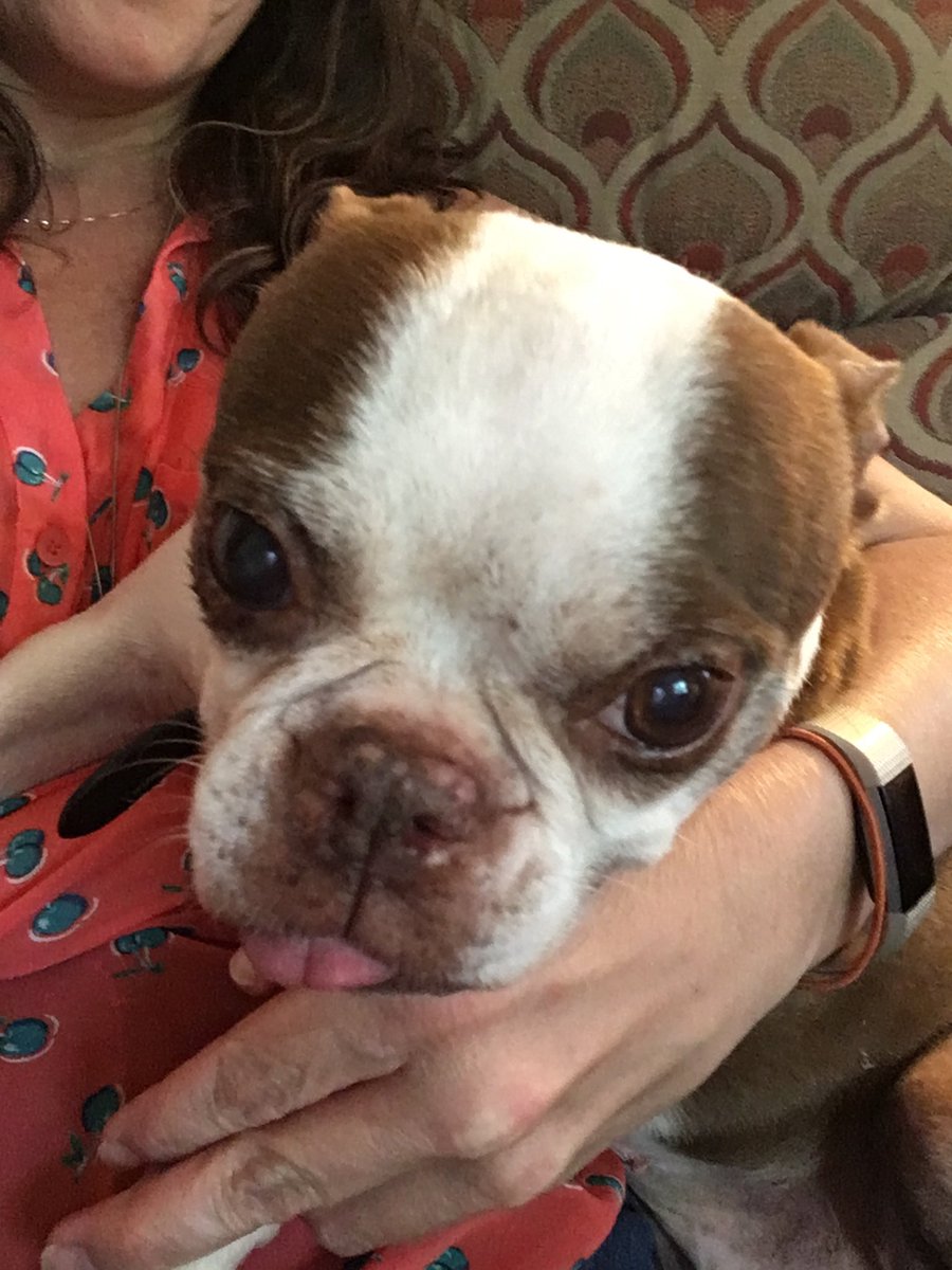 Congratulations, Patrick! #PurdueWeDidIt