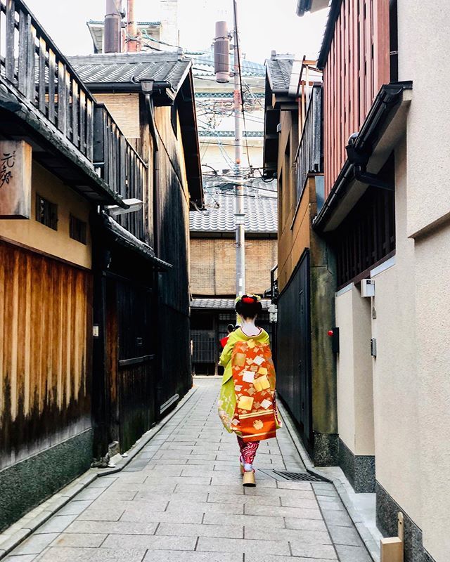 japoneando's tweet photo. Encontrarte con una Maiko en el distrito de Gion, es ver un toparte con un trocito de la historia de Japón en un instante, en una persona. #kyoto #gion #geisha #maiko #kioto #viajarporasia #japanese #japan #japon #viajeros #viajaresvivir #japoneando #viajerosporelmundo https://t.co/6hXJj9lqT4