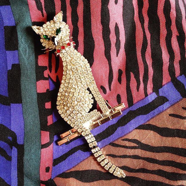 HBEdinburgh's tweet photo. Glamour puss is ready for the weekend https://t.co/Vm6bv5lC6T https://t.co/WCvuybxUos