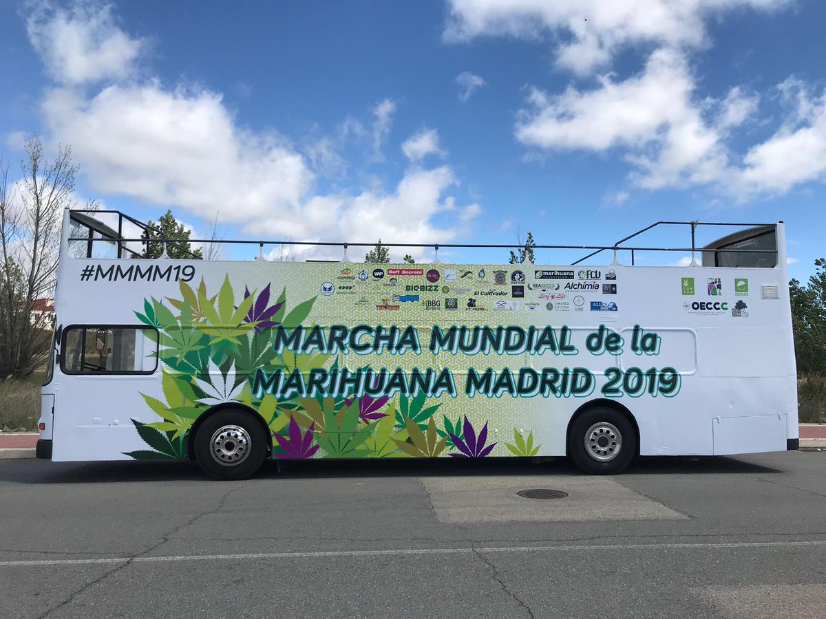 ObsCannabis's tweet photo. Equipo del @ObsCannabis trabajando durísimo para acondicionar el autobús y que está tarde suene gordooooooo

Nos vemos a las 18.00 en sol. Haremos #periscope en directo durante actuaciones y presentaremos #LeyCannabis https://t.co/RRZLKhsl9U