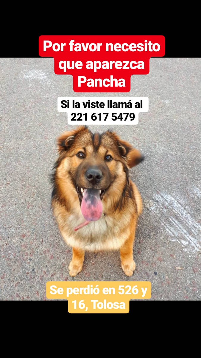 MarleneGoland's tweet photo. POR FAVOR SI LA VISTE LLAMAME. LA EXTRAÑO MUCHO, NECESITO QUE APAREZCA #TOLOSA #LaPlata https://t.co/fstD297sJr