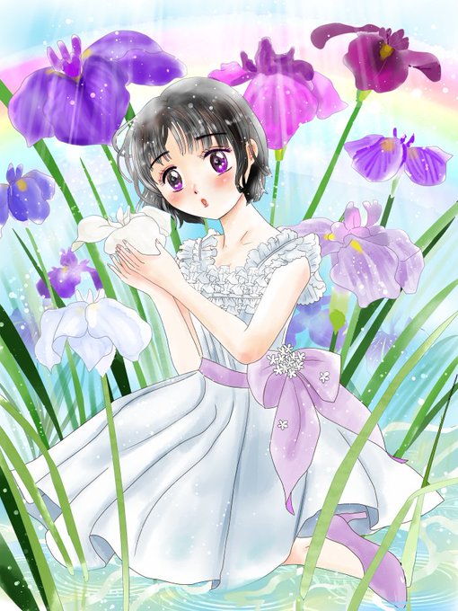 新5月日の誕生花 花菖蒲 うんちく 誕生花 花菖蒲 花 女の子 う 愛ちん ゆめみ愛 のイラスト