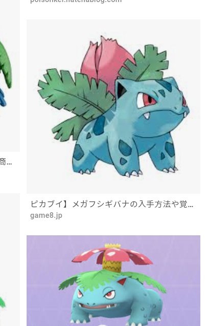 フシギソウのtwitterイラスト検索結果 古い順