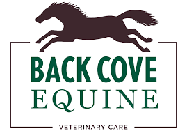 TeamNeala's tweet photo. We are thankful to have such a great veterinary partners as part of Team Neala! Dr. Rachel Flaherty, of Back Cove Equine, w/ support from Dr. Andris Kaneps at Kaneps Equine have been amazing. They are the best in the industry!
#Equestrian #VetCare #veterinary #TeamNeala ☘️💚 https://t.co/8VFlLHzrWq
