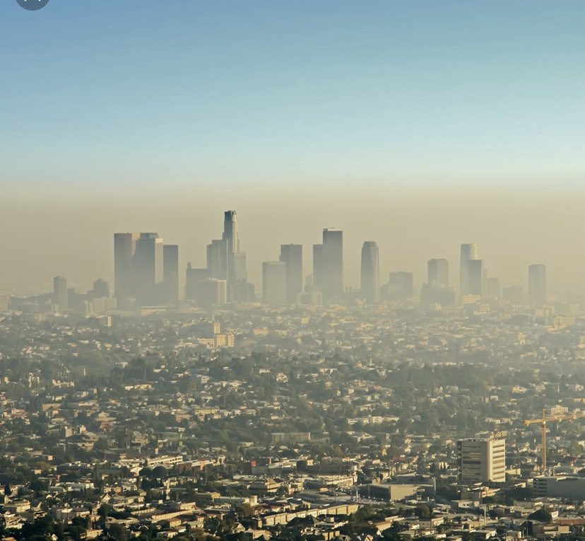 Osage Cattle tweet media