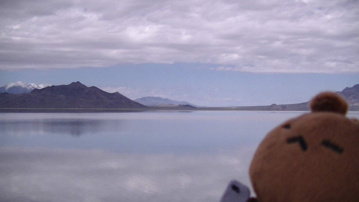 ボンネビルソルトフラッツ Twitter Search