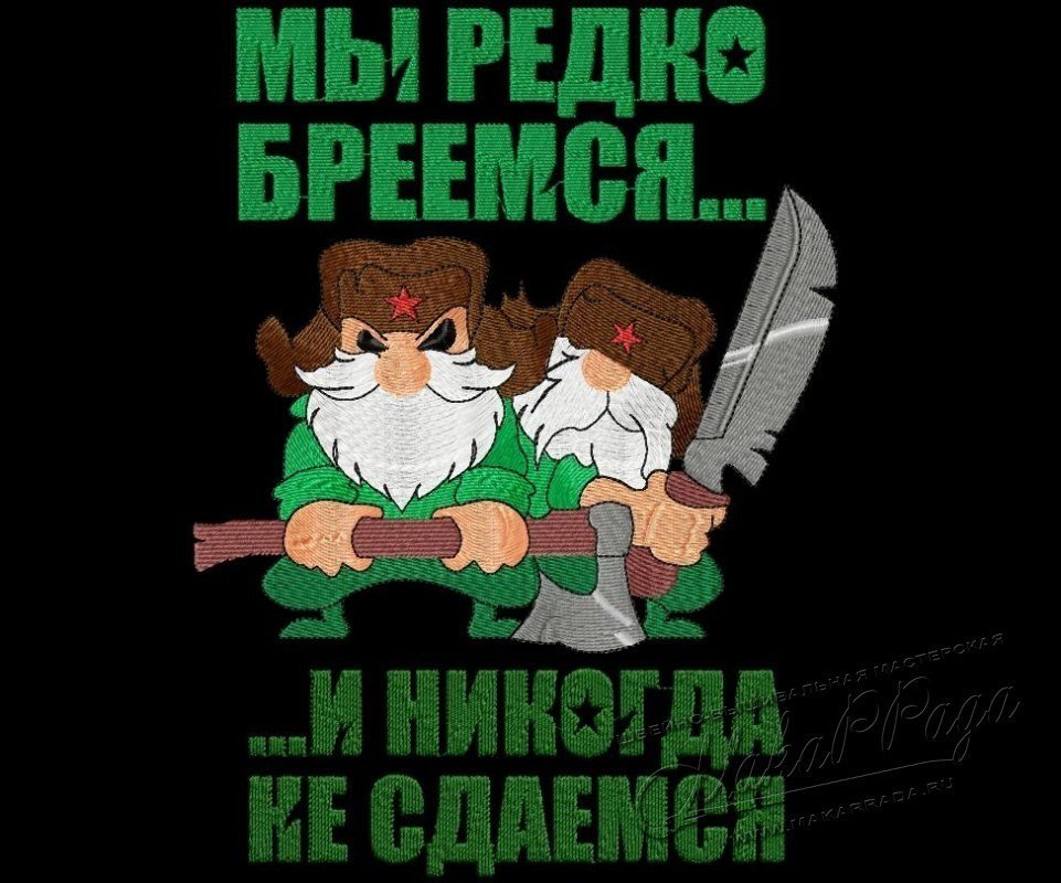 Партизан прикольные картинки, днем рождения