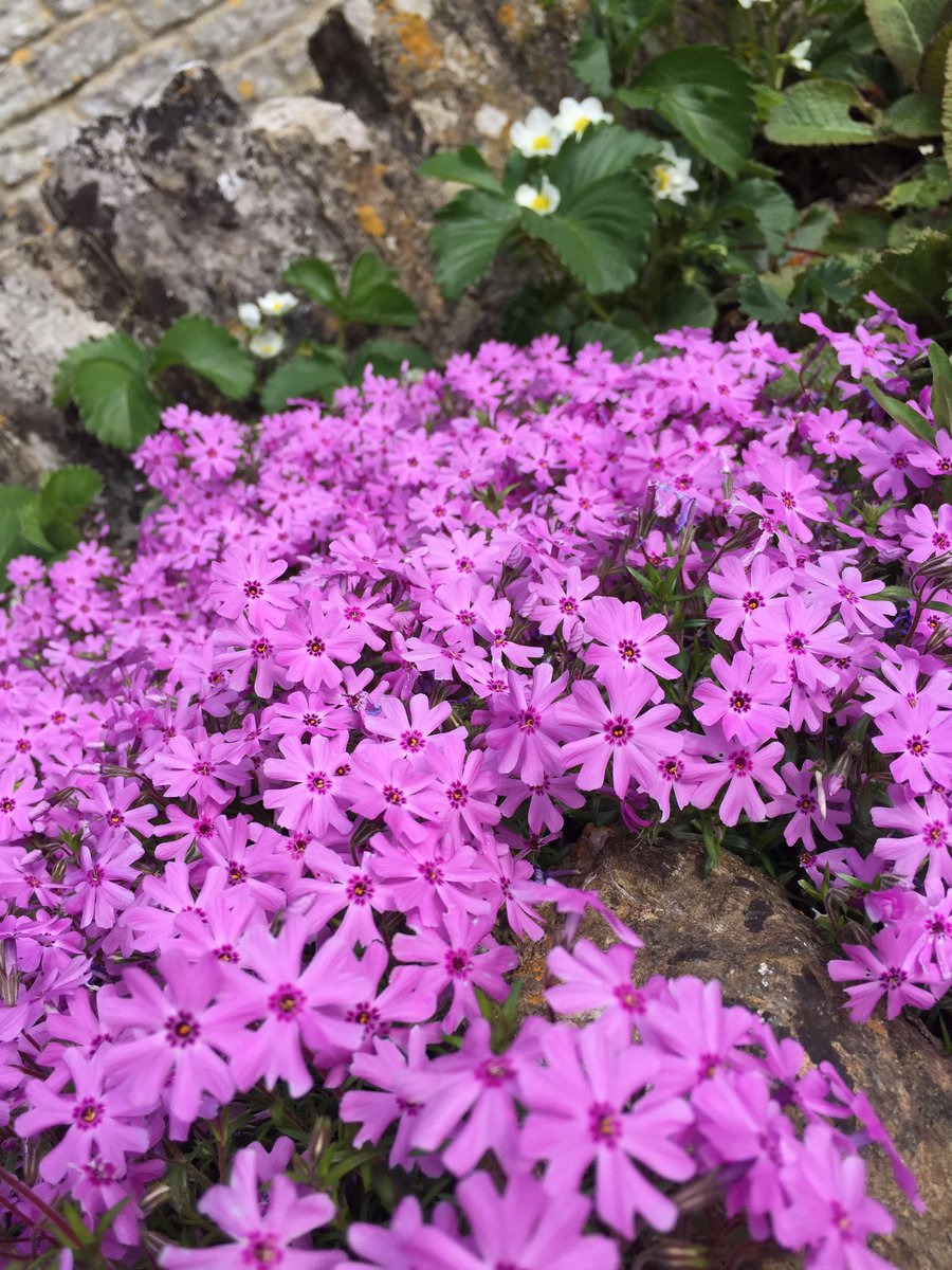 Glorious colours at this time of year