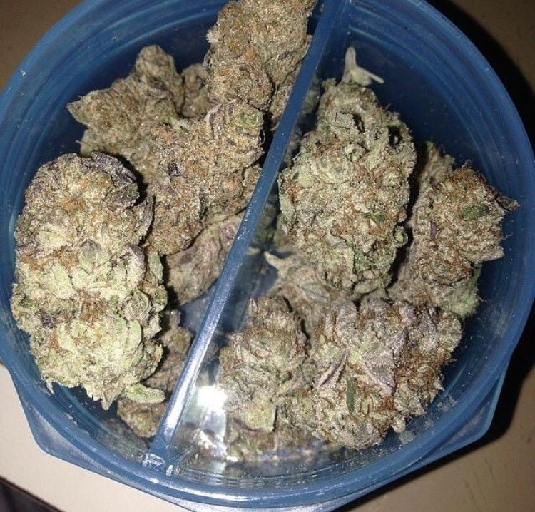 ParisWeed's tweet photo. Super silver haze et OG kush pour vs ojd les amis 🍁🍁#qualité #Amsterdam https://t.co/8OKWf1eHOB
