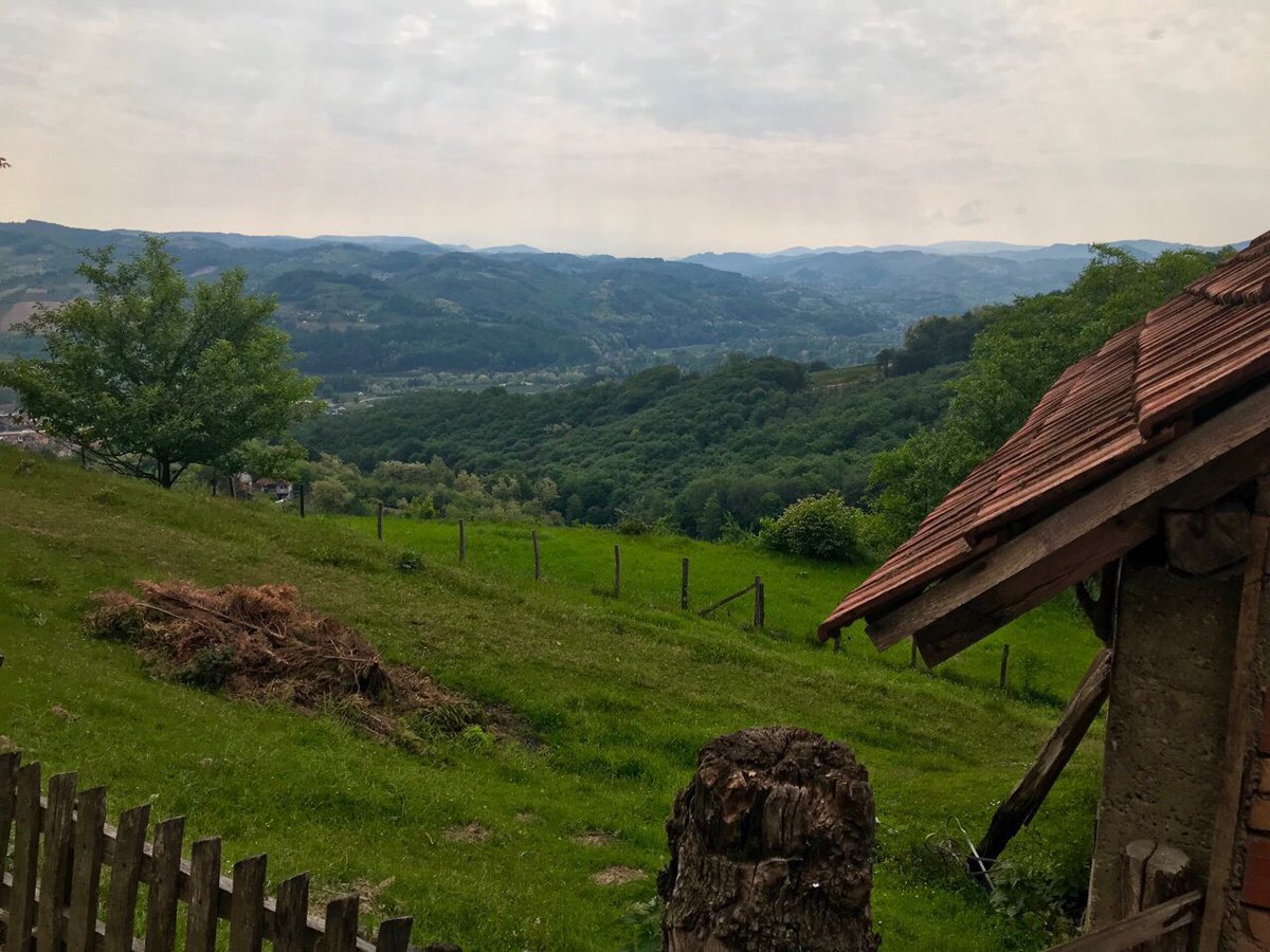 NatasaPrisic's tweet photo. https://t.co/gGqtyP3Srm ZLATIBORSKI OKRUG SNP
Jedan od primera koliko je važna zaštitita geografsko poreklo je Ariljska malina, koja je postala prepoznatljiv srpski brend širom sveta, pa ne čudi što je dobila ime i „crveno zlato“. https://t.co/mQUW3Y7a9r