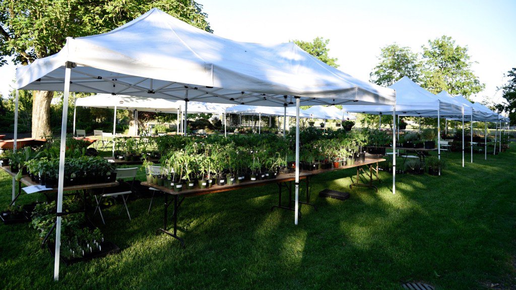 London Heritage Farm’s 13th Annual Plant Sale Ready to Open londonheritagefarm.ca/news/?p=6617
