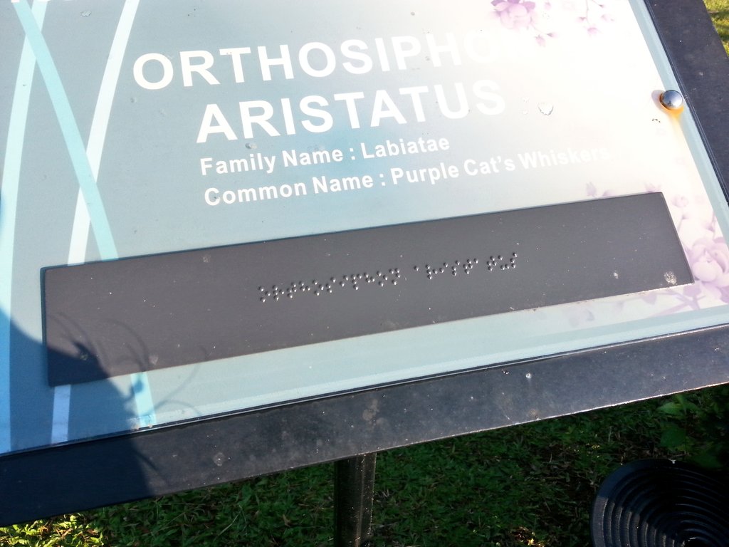 misaikucing - Twitter Search