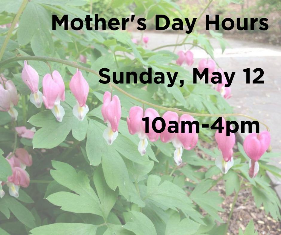fredandrickys's tweet photo. Sunday, May 12, our Creve Coeur Location will be open 10am-4pm so be sure to stop by and grab any plant delicious treats for your mom! Come in and treat her to a tasty lunch or swing by and grab some cookies, scones, or a special bakery gift box just for her. https://t.co/8HcjVE02uF