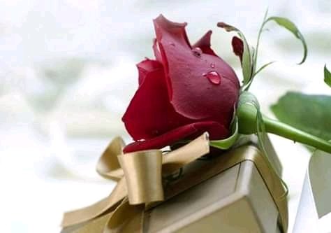 DiptishKumarRa6's tweet photo. From time to time our invisible God takes the birth of a human being lives a  common man's life and reminds the entire humanity to live an upright righteous and virtuous life, mentioned in the scripture books.
 Few of the Reincarnations of God are Christ,Prophet Muhammad,Krishna. https://t.co/2v5x4Zy4ji