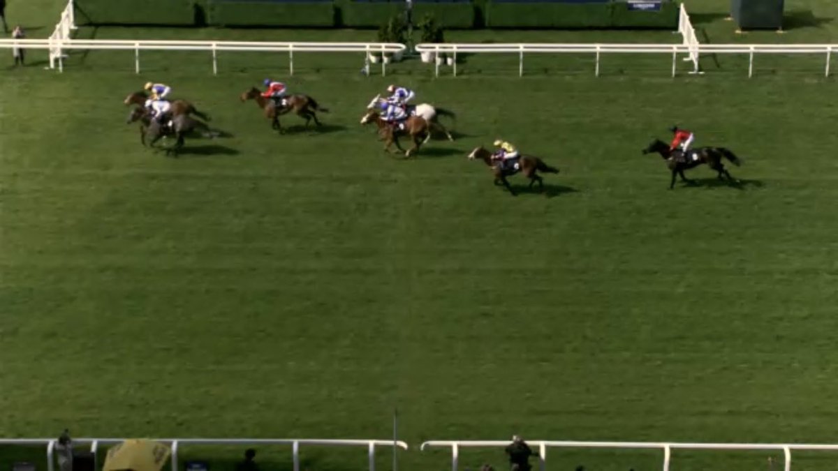 MargarsonRacing's tweet image. Another strong run from Model Guest into 4th place @Ascot under David Egan! #BiggerThingsToCome