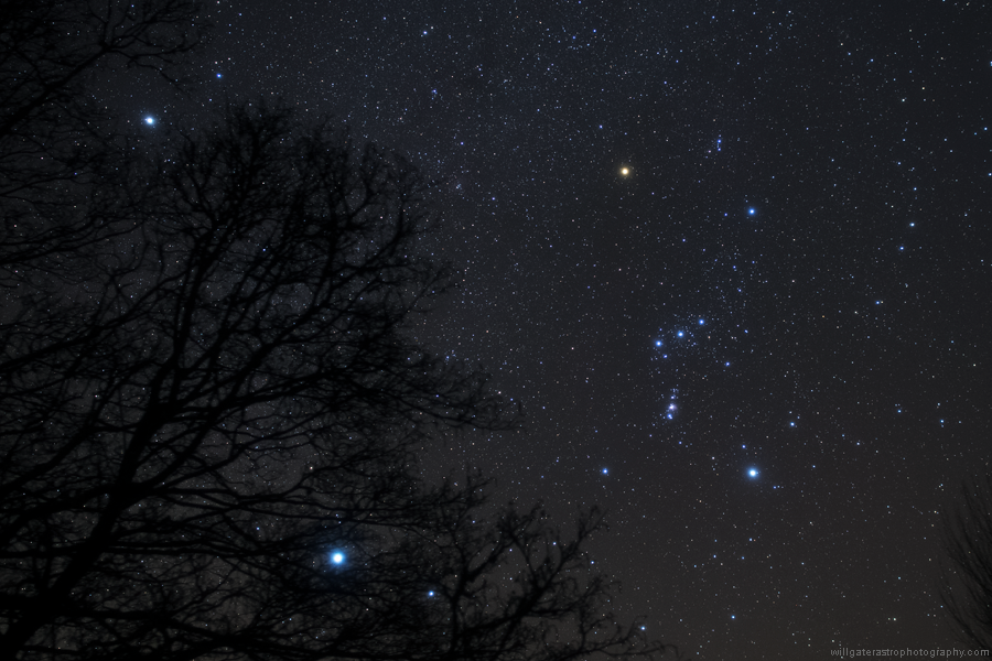 willgater's tweet photo. Happy #SomersetDay all! We're lucky enough to have some of the best dark-sky sites in the UK in the county - let's cherish and protect them! #Somerset #darkskies #astronomy https://t.co/WyrHyaYZ0n