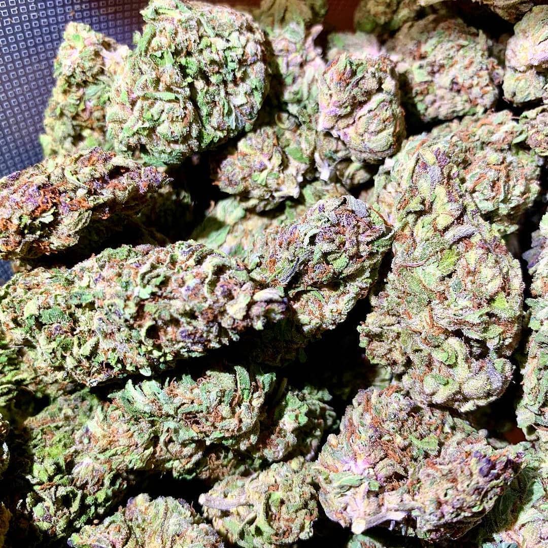 WeedLex tweet media
