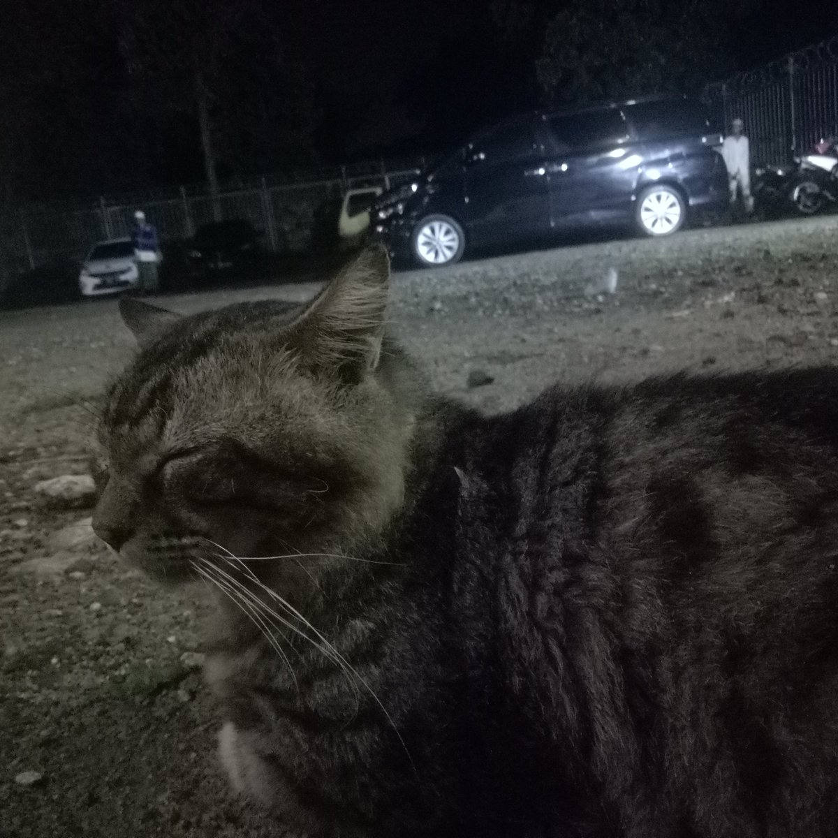 Berbaik sangkalah
Kepada setiap mahluk nya
ALLAH SWT