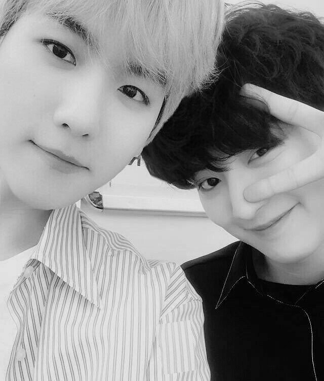 PCYILR's tweet image. :¨·.·¨: 
`·.. BBH 
❝ ʏᴏᴜ ᴍᴇᴀɴ ᴛʜᴇ ᴡᴏʀʟᴅ ᴛᴏ ᴍᴇ. ❞ 
— [💌] 𝘣𝘺𝘶𝘯 𝘣𝘢𝘦𝘬. ↳ ᶫᵒᵛᵉᵧₒᵤ ੭*⠤