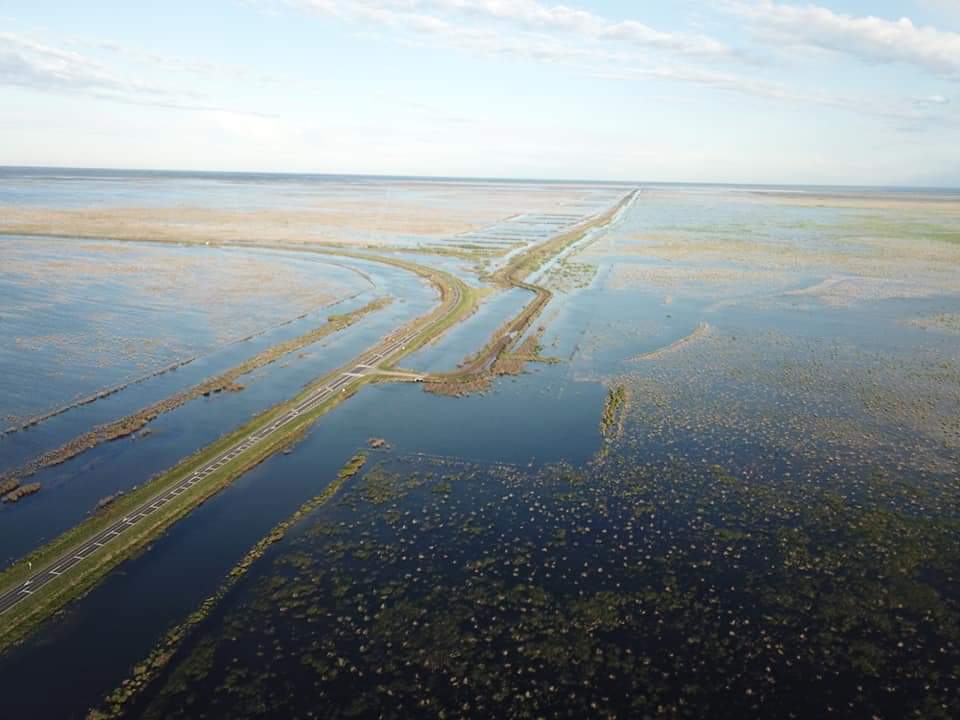 Diego Sevil@ tweet media